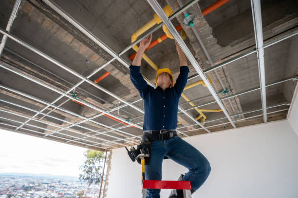 Best Emergency Plumbing Repair  in Spring Grove, MN