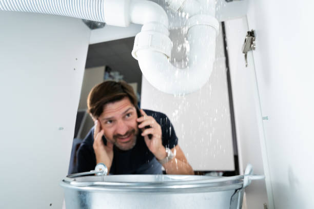 Best Plumbing Repair Near Me  in Spring Grove, MN