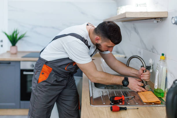 Best Plumbing Inspection Services  in Spring Grove, MN