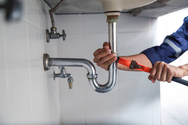 Best Local Plumber Services  in Spring Grove, MN