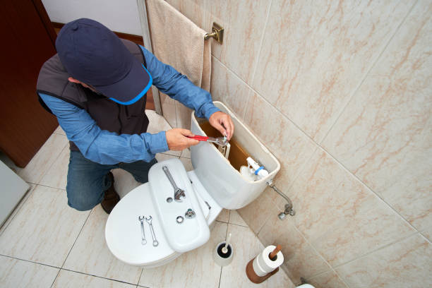 Best Local Plumber Services  in Spring Grove, MN