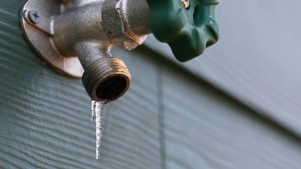 Best Affordable Plumber Near Me  in Spring Grove, MN