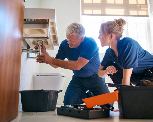 Best Residential Plumbing Services  in Spring Grove, MN